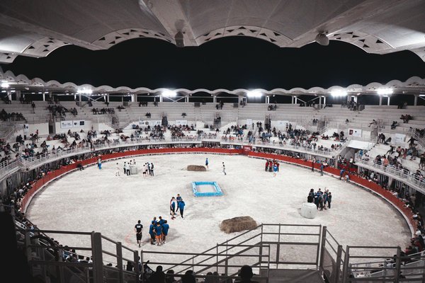 Was sollte man bei der Wahl eines Mountainbikes beachten?