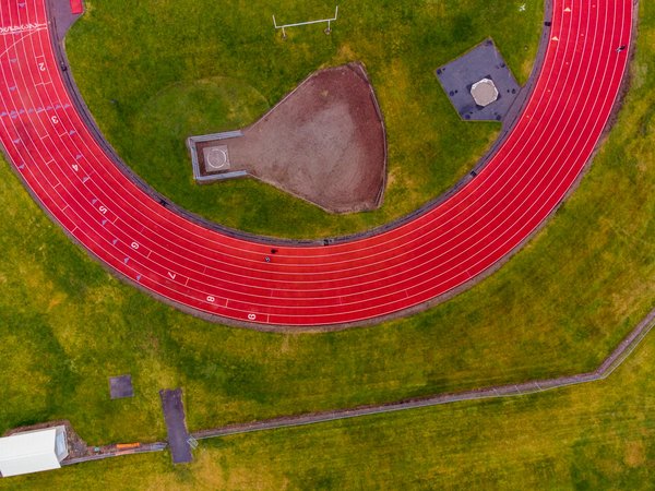 Welche Übungen sind ideal für den Muskelaufbau?